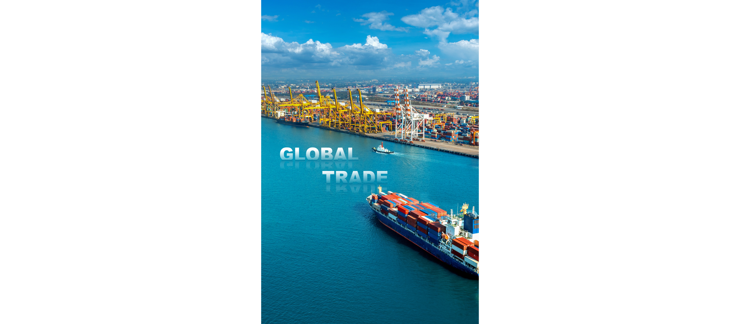 import – export copy (1)
